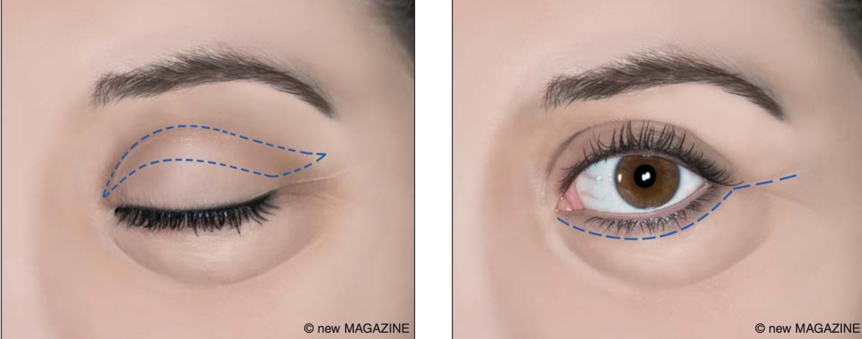 raffaele merola medico